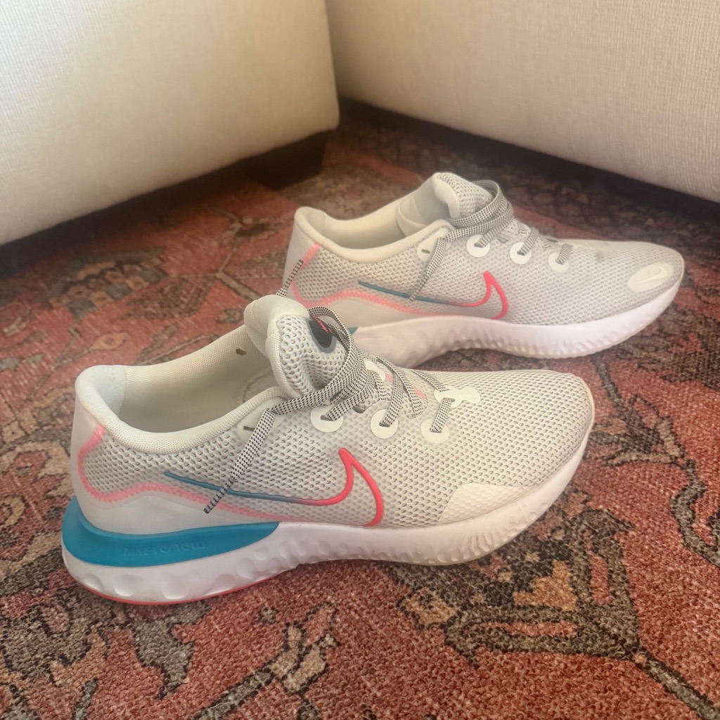 Nike Renew Run Ombre Swoosh
